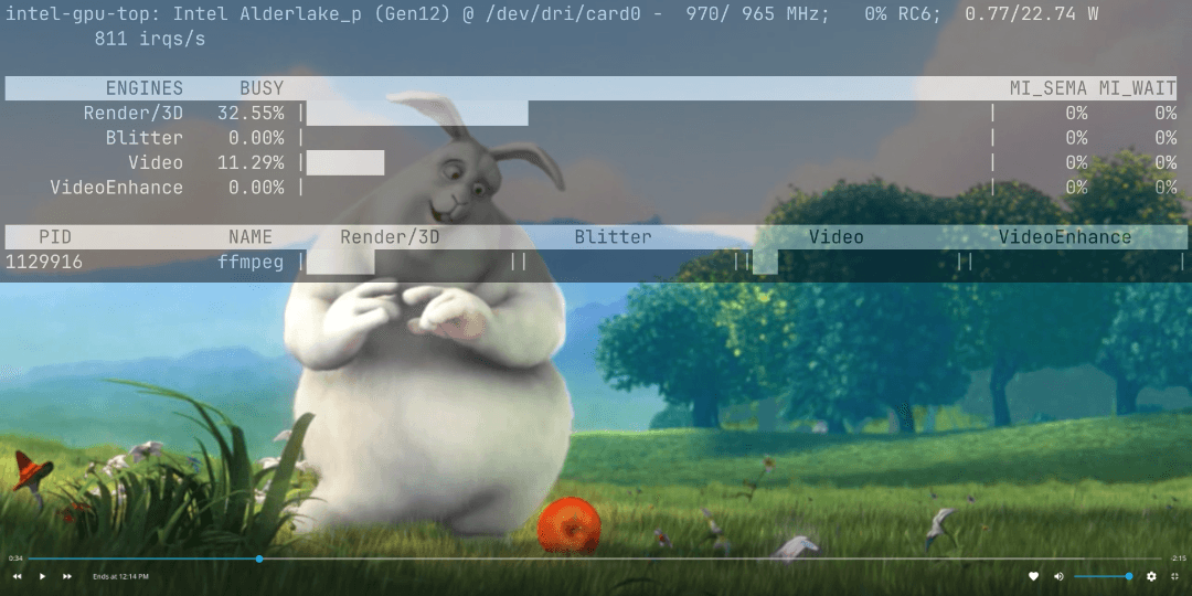 Hardware transcoding in Jellyfin on Proxmox with Intel Integrated Graphics